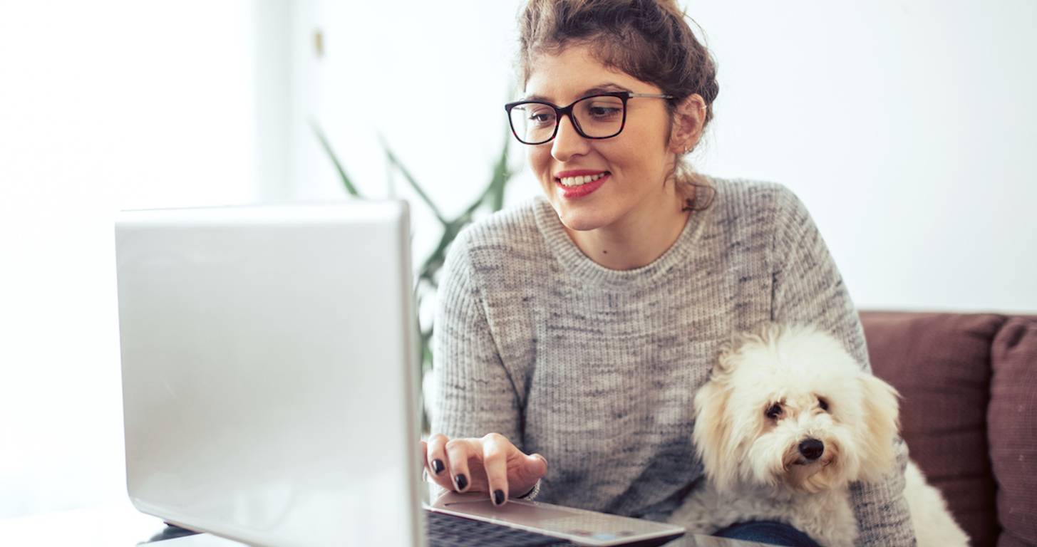 dog product companies
