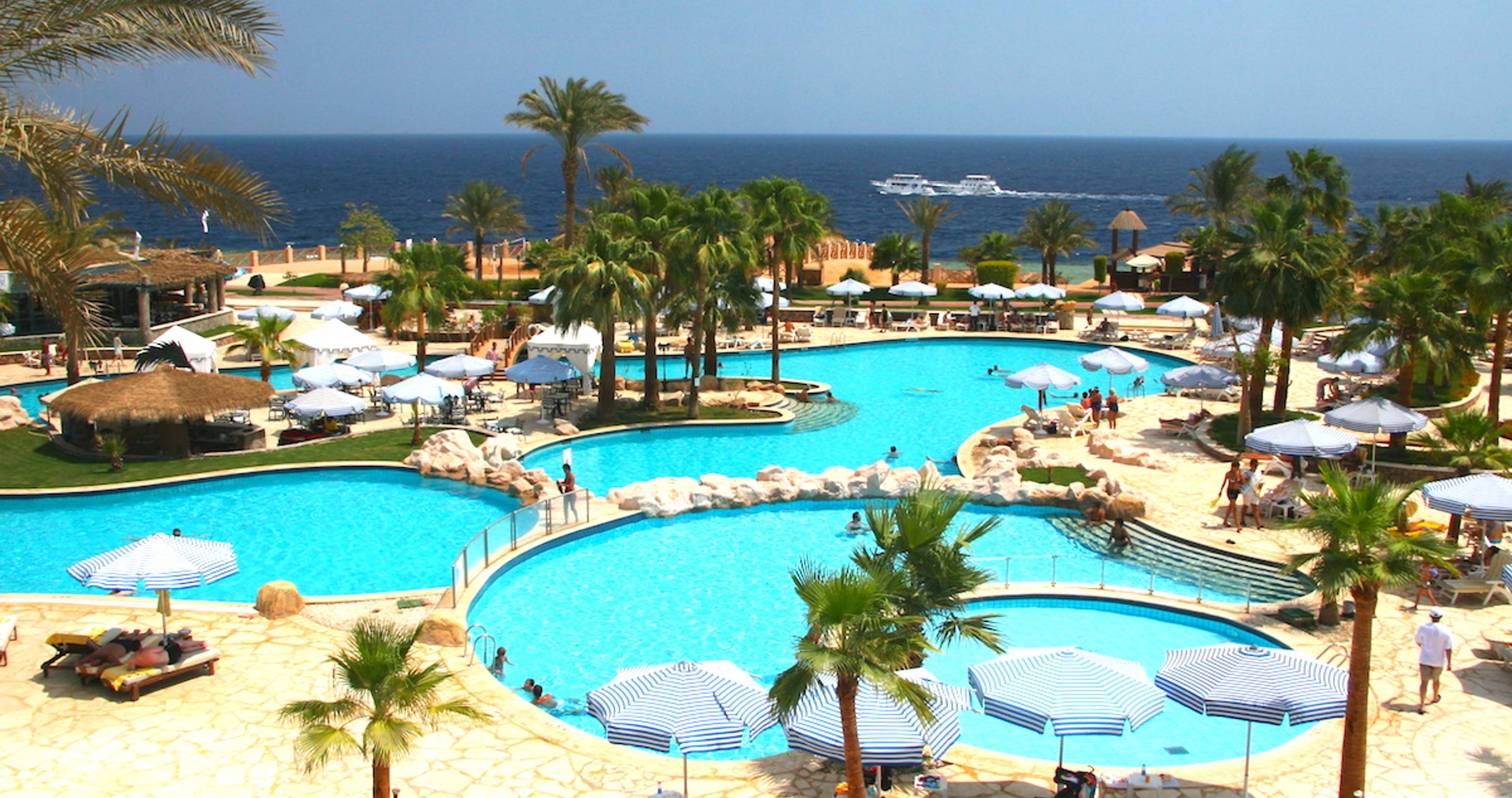 Hilton Honors Amex Ascend Changing Its Name Back to Surpass FinanceBuzz