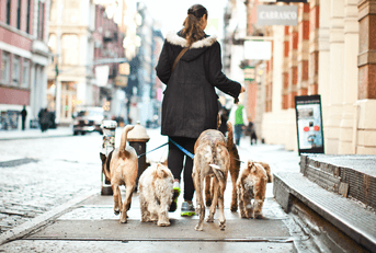 Woman walking dogs as a side hustle