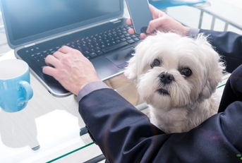 Most Unusual (and Coveted!) Job Benefits