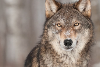 7 Unique Ways to Redeem Your Points and Miles