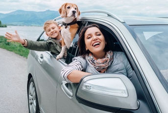 How to Switch Car Insurance (in 7 Simple Steps)