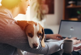 man working from home with dog