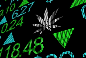 How to Invest in Marijuana