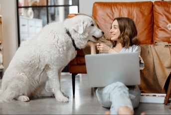 remote worker with dog and laptop