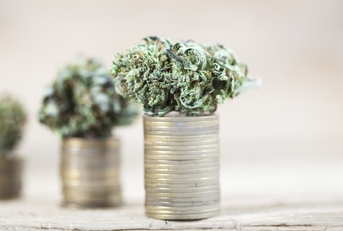 Business concept medical cannabis, marijuana on stack of coins 