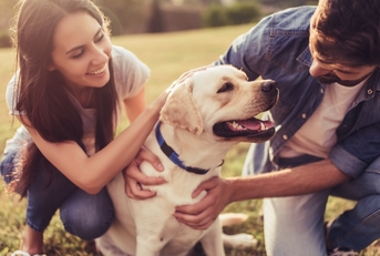 couple with dog in outdoor garden