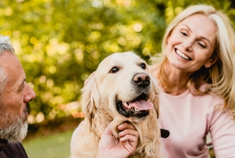 senior couple petting their dog