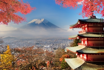 mount fuji at fall in japan