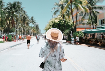 summer tropical palms miami florida