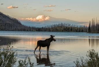 montana mountain lake at dusk