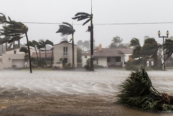 las olas blvd in hurricane irma