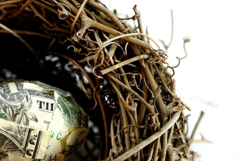 your nest egg