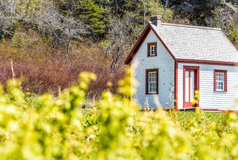 wooden house cottage