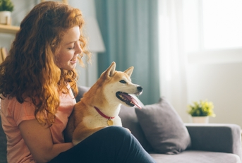 people and pets concept