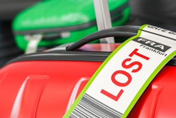 Luggage handle and tag