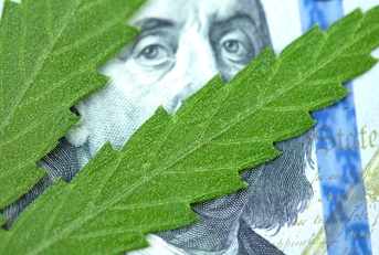 Concept of income from marijuana