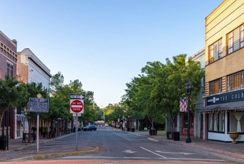 Town in Houston County