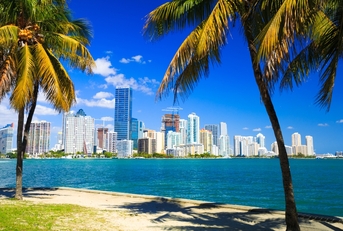 skyline view of miami florida