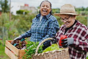  having fun during harvest