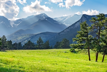 meadow in rocky mountain national park