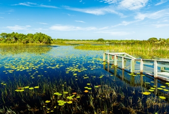 florida nature preserve
