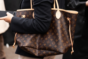 A close up of a Louise Vutton bag