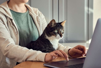 woman sitting with a cat on her lap