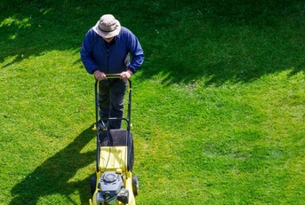 Man tending his garden by cutting the grass