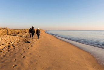 People walking on the beach during golden sunset