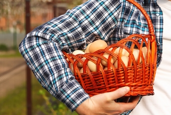 whole basket of brown organic eggs