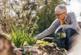 retired senior woman gardening