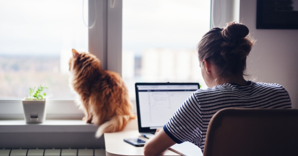 Woman working at desk with cat