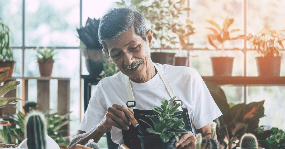 Senior man caring for plants