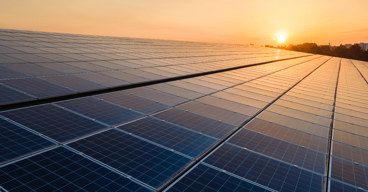 Sun setting over solar panels