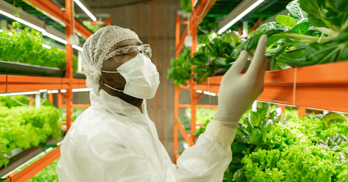 Food scientist checking plants