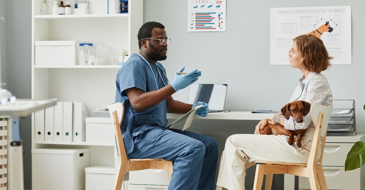 young confident veterinarian giving medical advice to female pet owner
