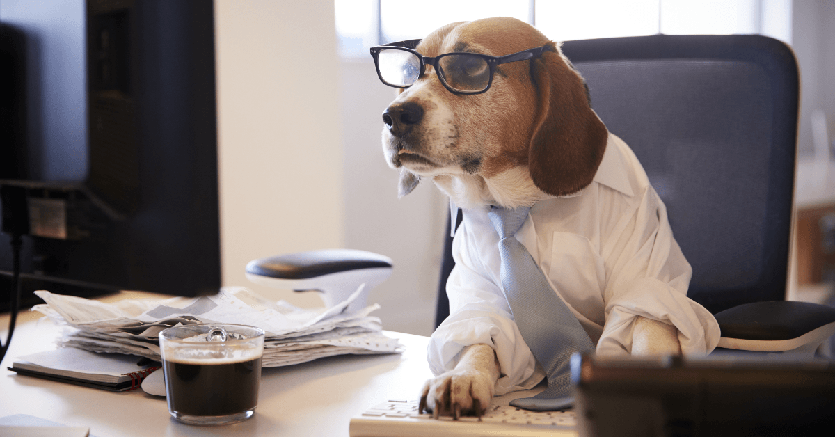 Dog wearing glasses working at office desk