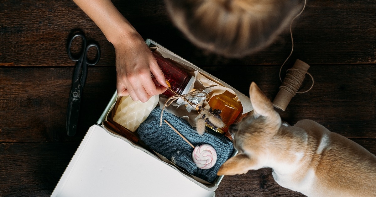Woman and her dog fold a care box with sweets and warm clothes