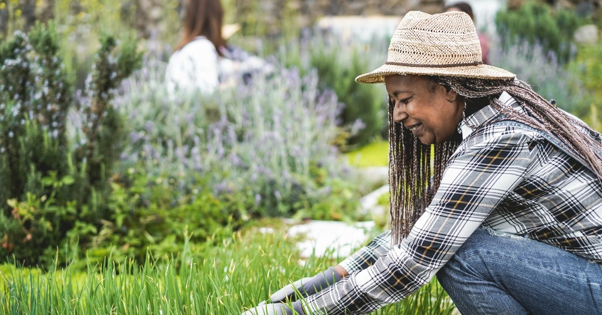 african senior woman preparing seedlings in a box with soil 