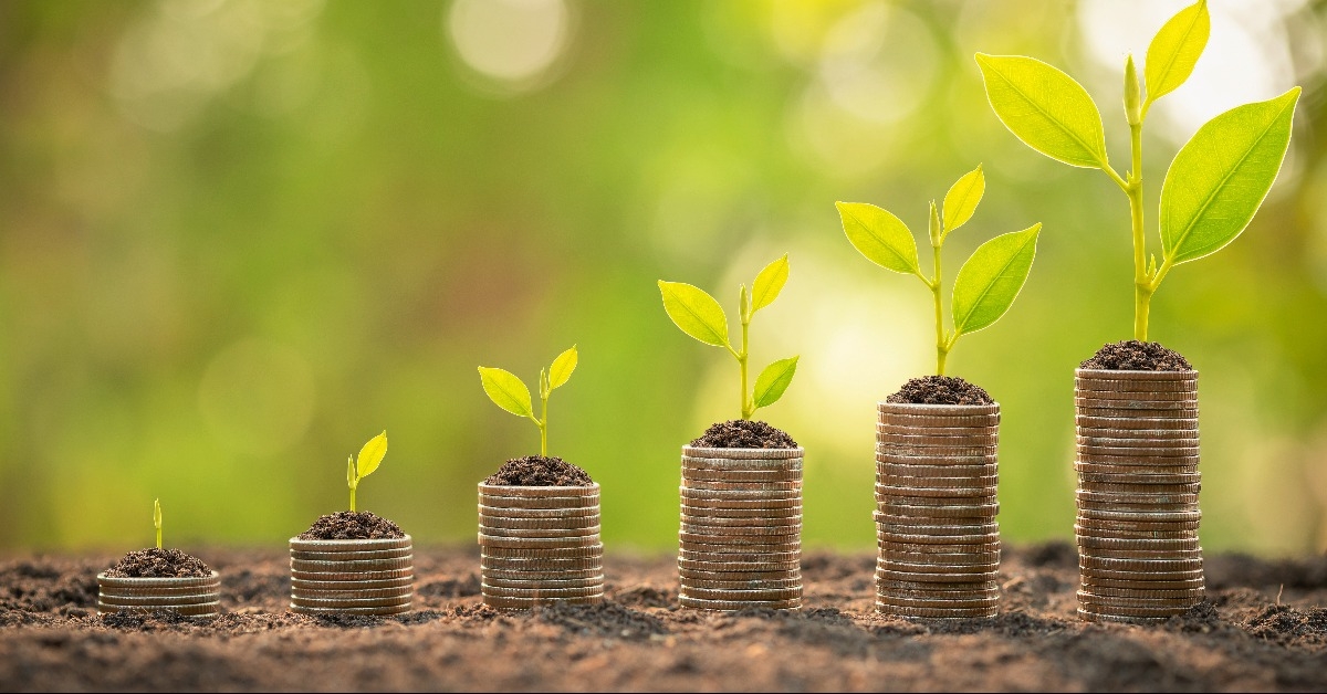 coin stack with young green sprout on top