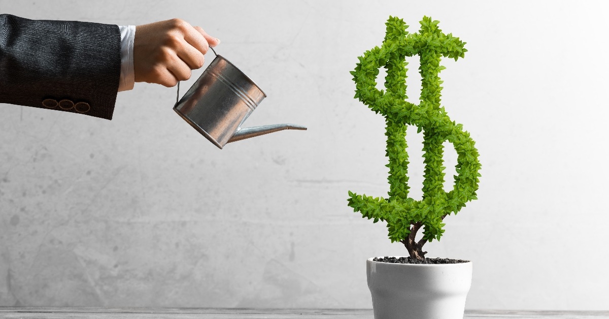  investment income and growth with money tree in pot