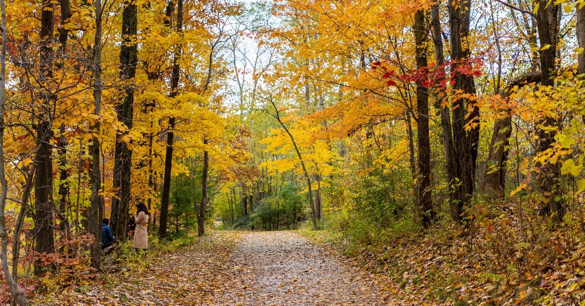 Trail near Mill Creek Falls in northeast Ohio during Fall