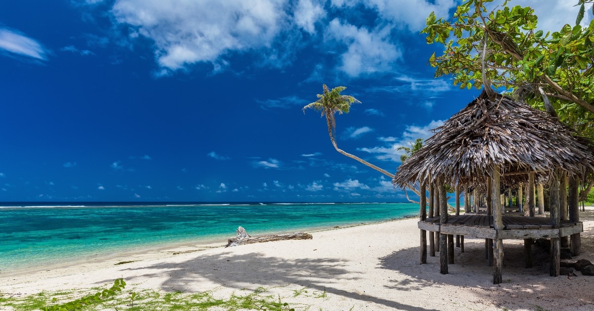 Tropical vibrant beach on Samoa Island with palm tree and fale