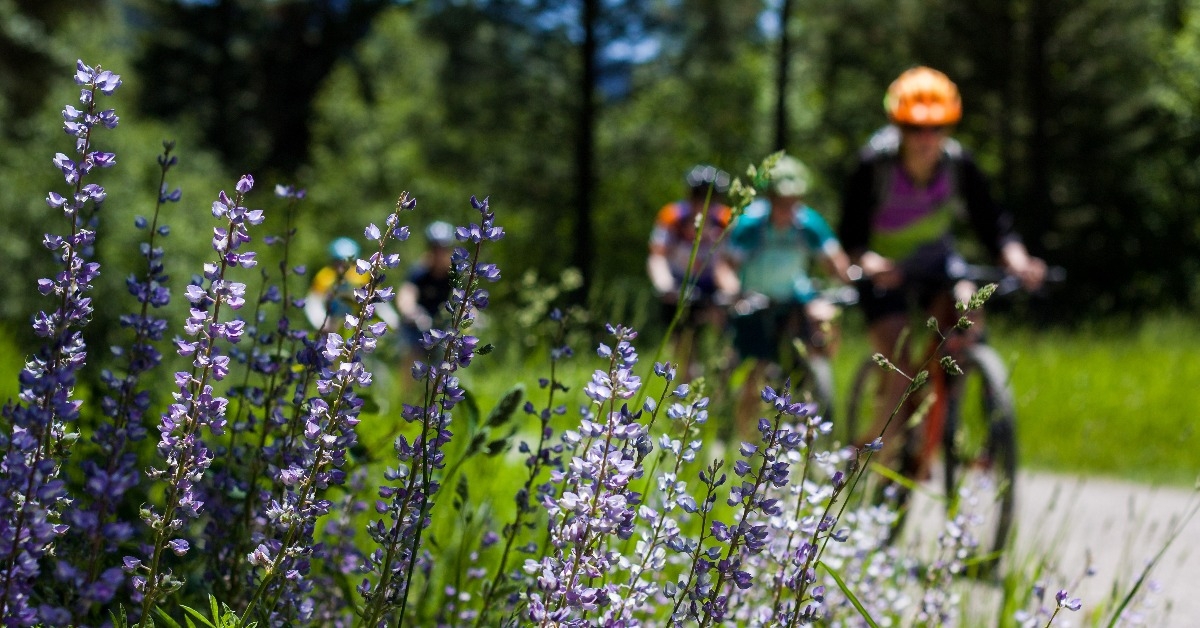 mountain biking Missoula Montana