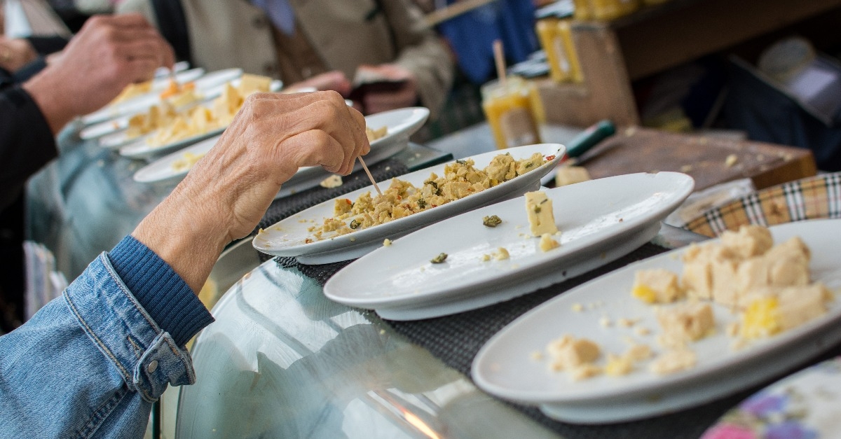 samples of various cheeses on plates