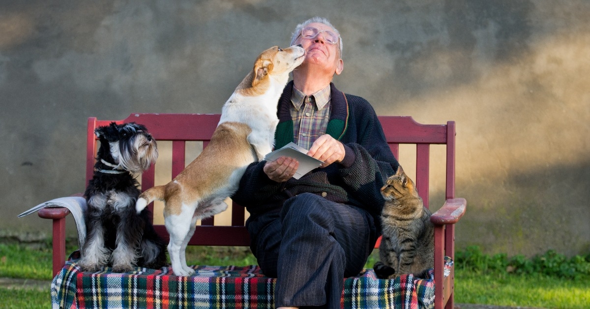 senior man with dogs and cat on his lap on bench