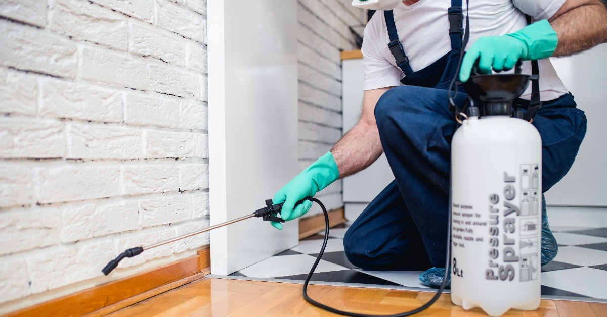 exterminator in work wear spraying pesticide with sprayer