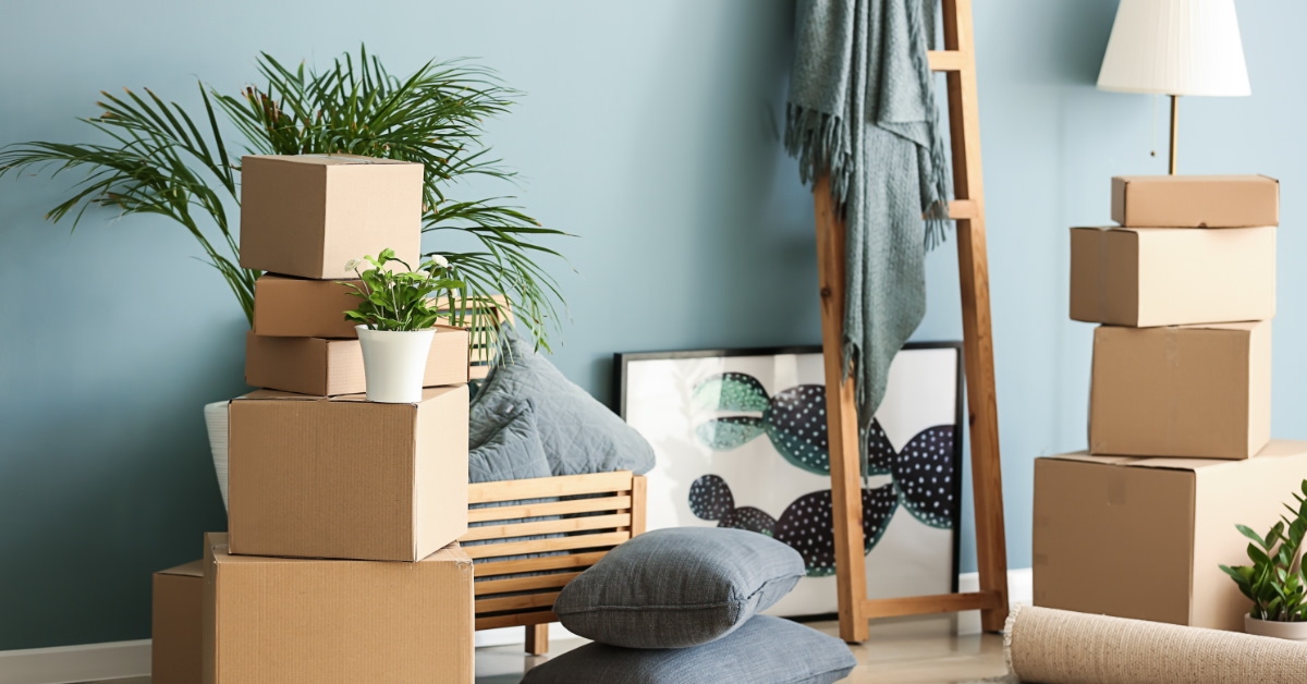 moving boxes in room