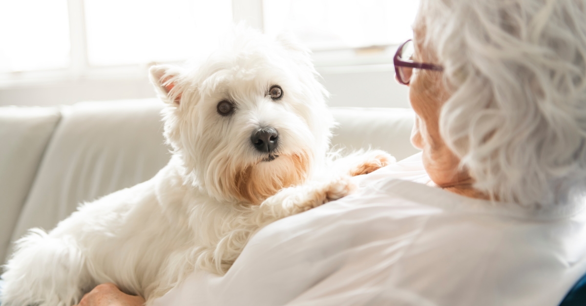 senior lady sitting on her couch with dog